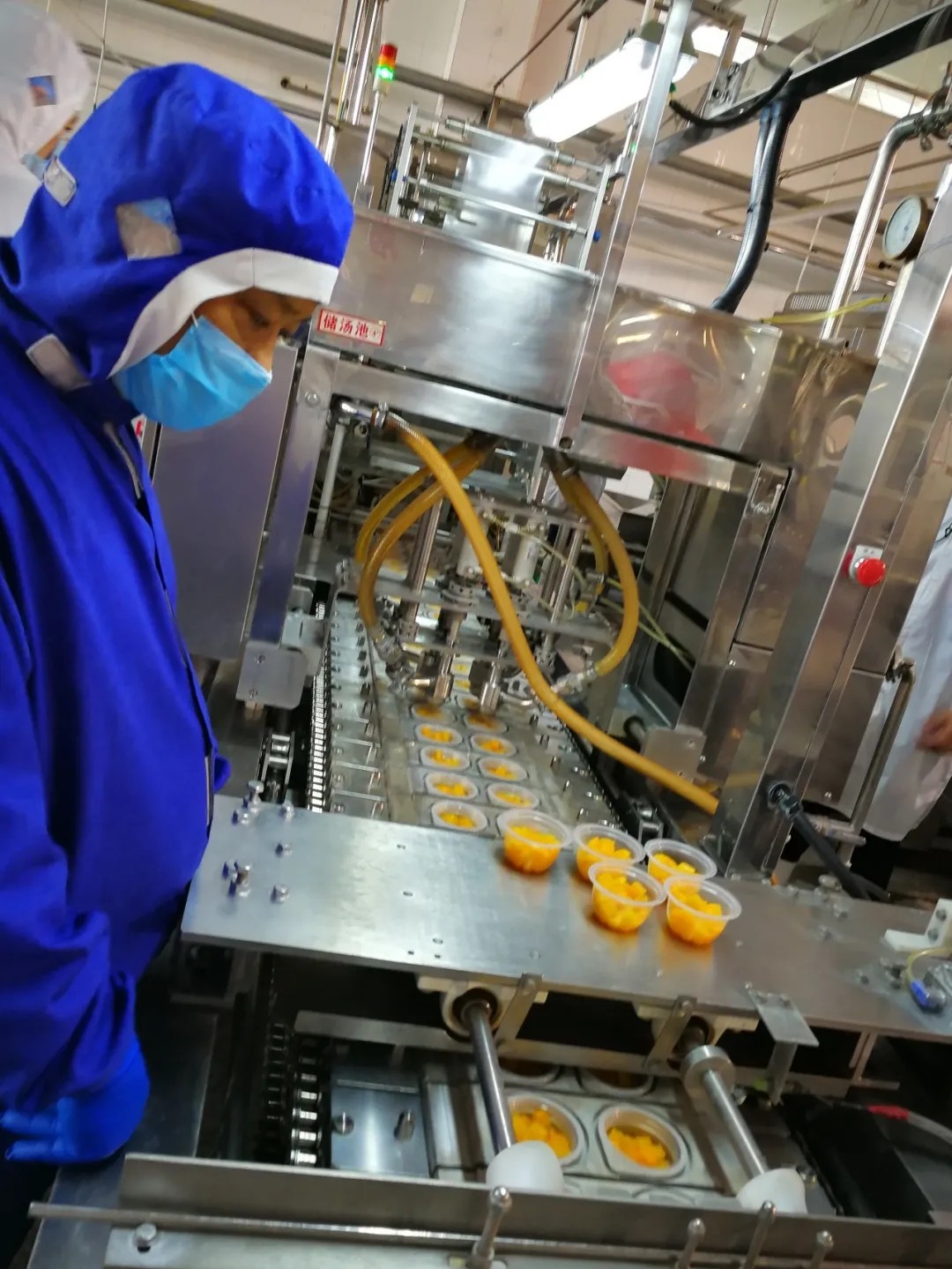 HACCP.jpg